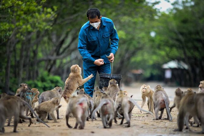 Full-Day Can Gio Mangrove Private Guided Forest Exploration - Local Culture and Traditions in Can Gio Mangrove Forest