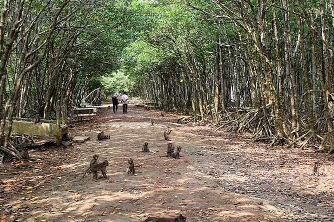 Full-Day Can Gio Mangrove Private Guided Forest Exploration - Tips for a Successful Mangrove Forest Exploration