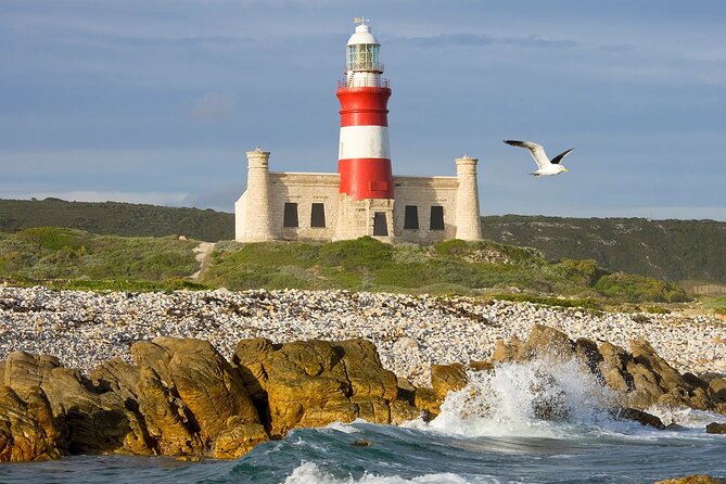 Full Day Cape Agulhas Private Tour - Itinerary