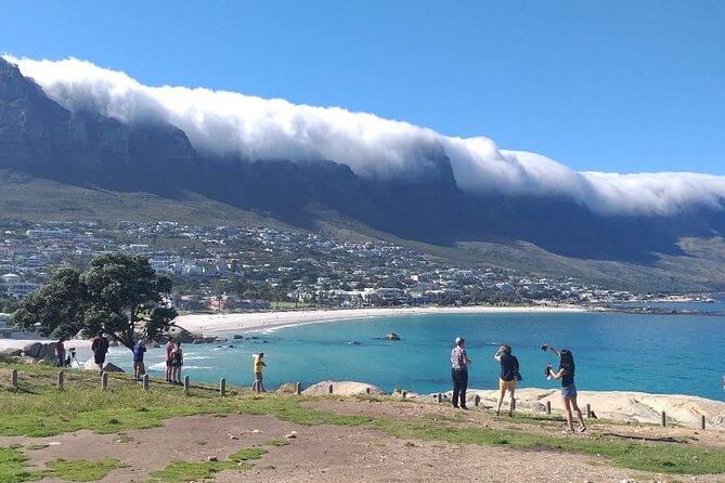 FULL Day Cape of Good Hope and Boulders Penguin Colony - Reviews