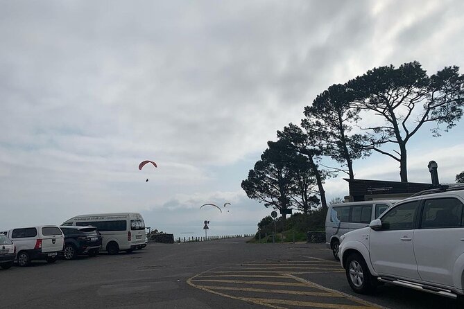 Full Day Cape of Good Hope-Cape Point Group Tour From Cape Town - Customer Reviews and Ratings