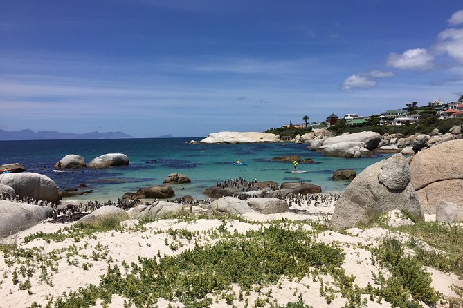 Full Day Cape Peninsula Motorcycle Tour on a Royal Enfield - Common Questions