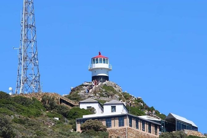 Full Day Cape Peninsula Tour - Tour Highlights