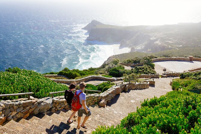 Full Day Cape Peninsula Tour - Pickup and Drop-off