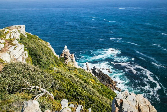Full-Day Cape Peninsula Tour From Cape Town - Questions and Contact Information