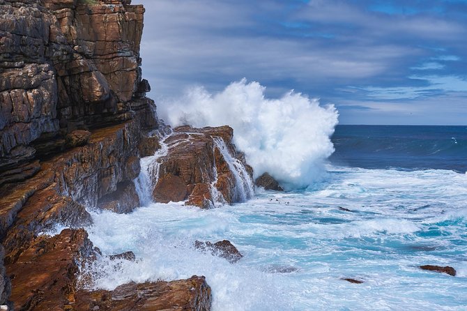 Full Day Cape Peninsula Tour in Private Car - Tour Highlights
