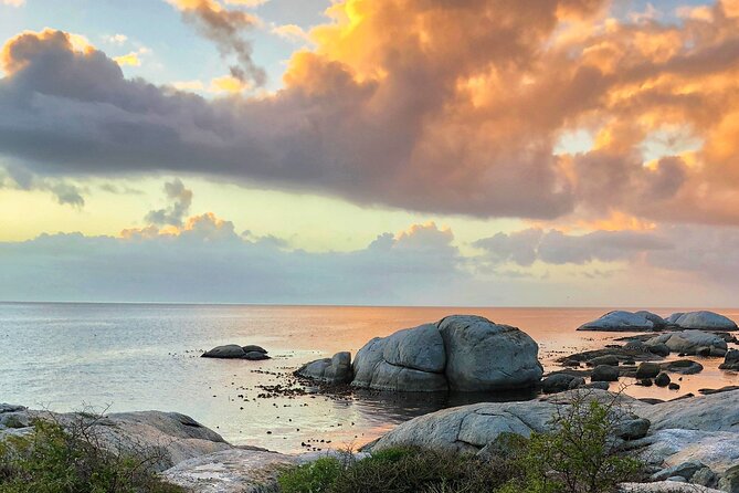 Full Day Cape Peninsula Tour Penguins, Cape Point and Seals - Meeting and Pickup Details