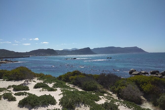 Full Day Cape Peninsula Tour Penguins, Cape Point and Seals - Pickup Locations