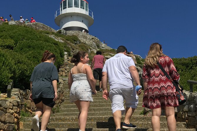 FULL Day Cape Point and Boulders Penguin Colony - Itinerary Highlights