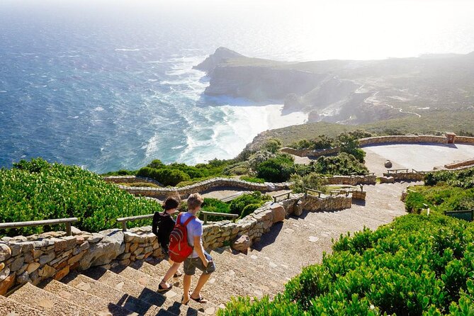 Full Day Cape Point Sightseeing Tour - Tour Highlights