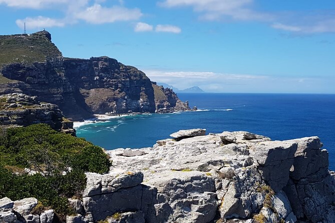 Full Day Cape Point Sightseeing Tour - Common Questions