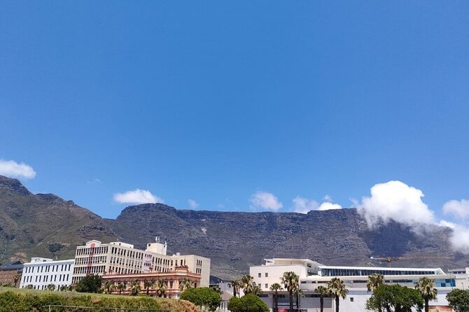 Full Day Cape Town Peninsular Private Tour - Booking Information