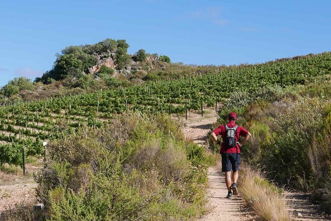 Full-Day Cape Winelands Tour - Exploring Historic Towns and Villages