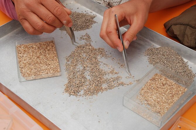 Full Day Cappadocia off the Beaten Track Private Guided Tour - Discover Off-the-Beaten-Path Wonders