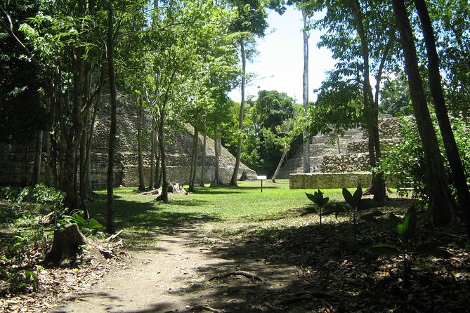 Full-Day Caracol Maya Temple and Pine Ridge Forest Reserve - Tour Highlights
