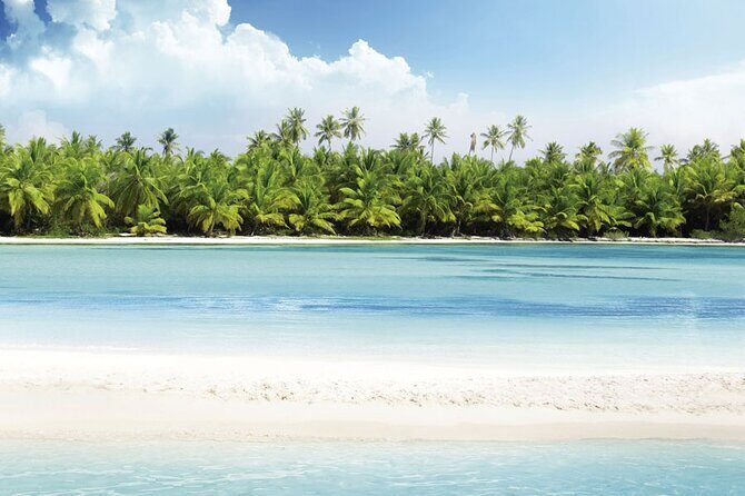 Full Day Catalina Island and Cap Cana Snorkel Tour - Final Thoughts