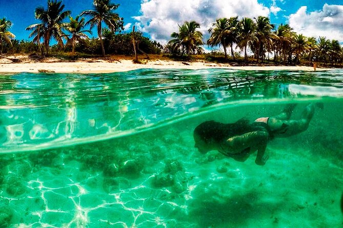 Full Day Catalina Island and Cap Cana Snorkel Tour - Tour Inclusions