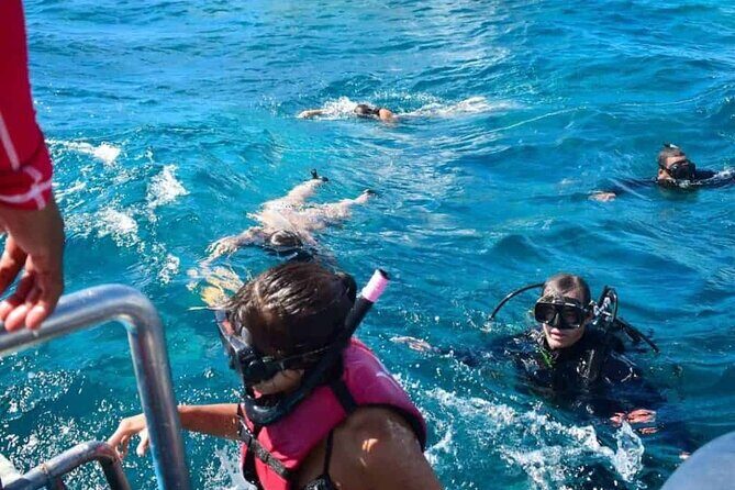 Full-Day Catalina Island Snorkeling Excursion from Punta Cana - A Closer Look at the Itinerary