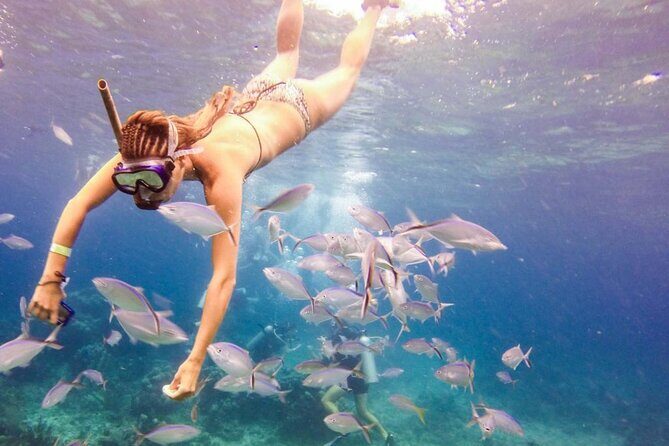 Full-Day Catalina Island Snorkeling Excursion from Punta Cana - Final Thoughts