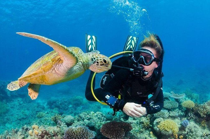 Full Day Catalina Island With Scuba Diving - FAQs