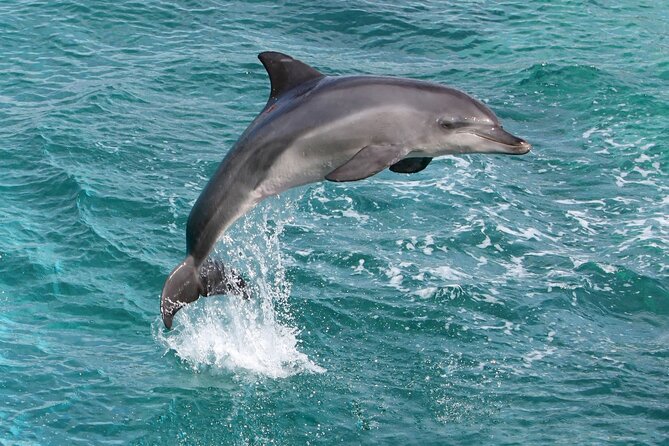 Full-Day Catamaran Boat Trip From Alanya - Booking Information