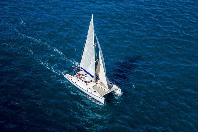Full Day Catamaran Private Tour in Grenada - Practical Details and Considerations