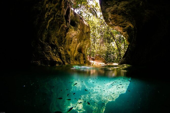 Full Day Cave Tubing and Zip Lining at Jaguar Paw - Tour Overview