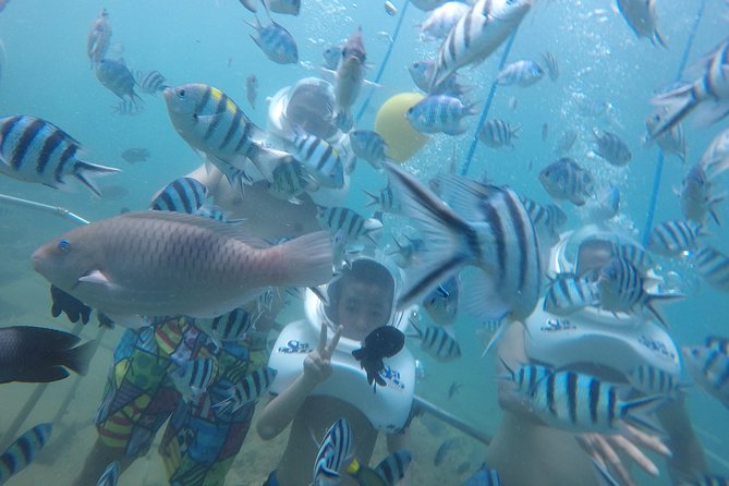 Full-Day Cham Islands Cruise From Hoi an With Underwater Walking Excursion - Price and Booking Details