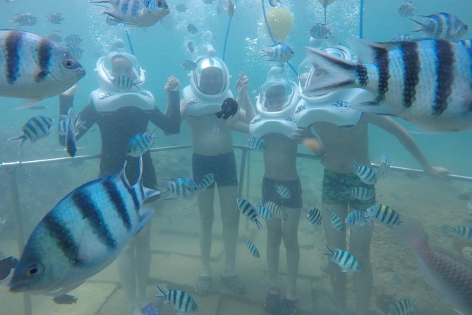 Full-Day Cham Islands Cruise From Hoi an With Underwater Walking Excursion - Common Questions