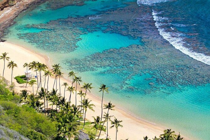 Full-Day Cham Islands Tour with Snorkeling & Beach Relaxation - Who Will Enjoy This Tour?