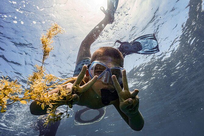 Full-Day Cham Islands Tour with Snorkeling & Beach Relaxation - The Itinerary in Detail