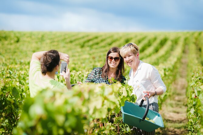 Full Day Champagne Pommery Small Group Tour - Tour Highlights