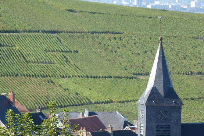 Full Day Champagne Pommery Small Group Tour - Expert Guide Commentary