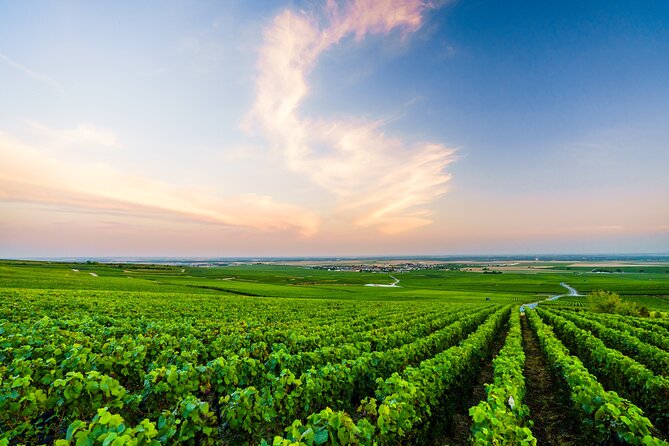 Full Day Champagne Pommery Small Group Tour - Common Questions