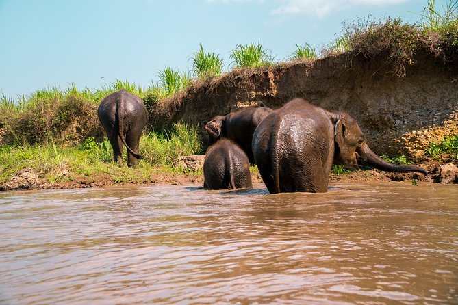 Full Day Chauffeur Driven Tuk Tuk Adventure in Chiang Mai Including Rafting - Group Size and Pick Up