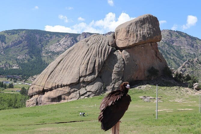 Full Day Chinggis Khaan Statue & Terelj NP Tour +Horseride, Eagle - FAQ