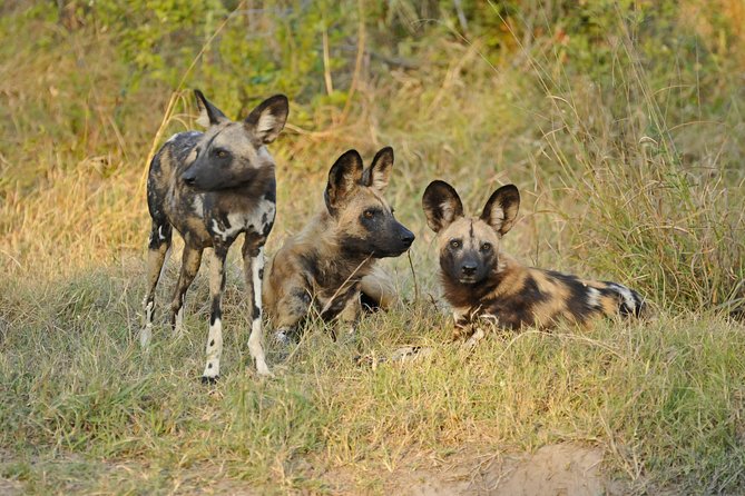 Full Day Chobe Game Drive, Guided Tour of Falls & 15 Mins Helicopter Flight - Inclusions