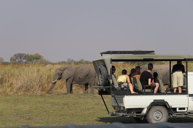 Full Day Chobe Safari Start Victoriafalls +Lunch at Floating Restaurant or Lodge - Good To Know
