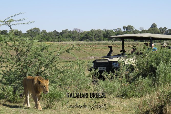 Full Day Chobe Safari Start Victoriafalls +Lunch at Floating Restaurant or Lodge - Logistics