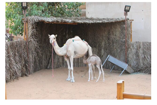 Full-Day City Tour of the Tourist Attractions and Places in Dubai - Common Questions