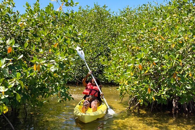 Full Day Clear Kayak Rental Grand Turk - The Sum Up