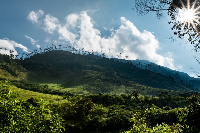 Full Day Climbing the Cocora Valley With Lunch - Tour Details