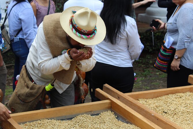 Full Day Coffee Guided Tour in Coatepec - Coatepecs Rich Coffee History