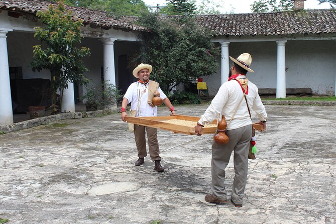 Full Day Coffee Guided Tour in Coatepec - Specialty Coffee Tasting Experience