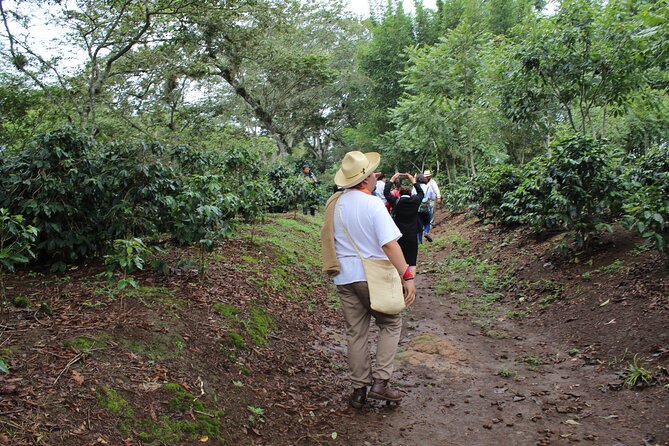Full Day Coffee Guided Tour in Coatepec - Local Coffee Shops and Cafes
