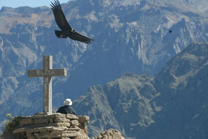 Full Day Colca Canyon Tour From Arequipa - What To Expect
