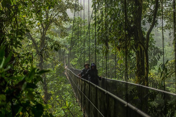 FULL DAY COMBO 1: Hanging Bridges + Waterfall Hike + Farm Lunch + Volcano Hike - Activity Highlights