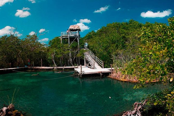 Full-Day Combo Cruise to Isla Holbox and Isla Pasion With Yalahau Cenote  - Cancun - Pricing and Booking Information