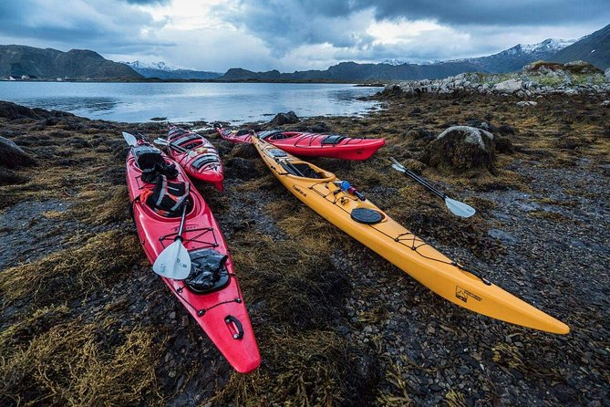 Full Day Combo Kayak and Rappel - Northern Explorer - The Sum Up