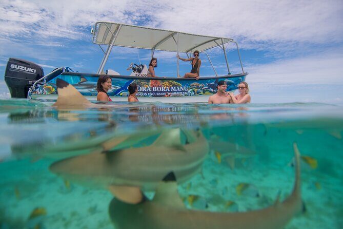 Full Day Combo Snorkeling with Buffet and Bora Bora ATV Tour - Who is This Tour Best For?